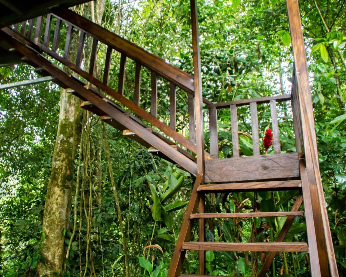 Arenal Rustic Lodge La Fortuna Kültér fotó