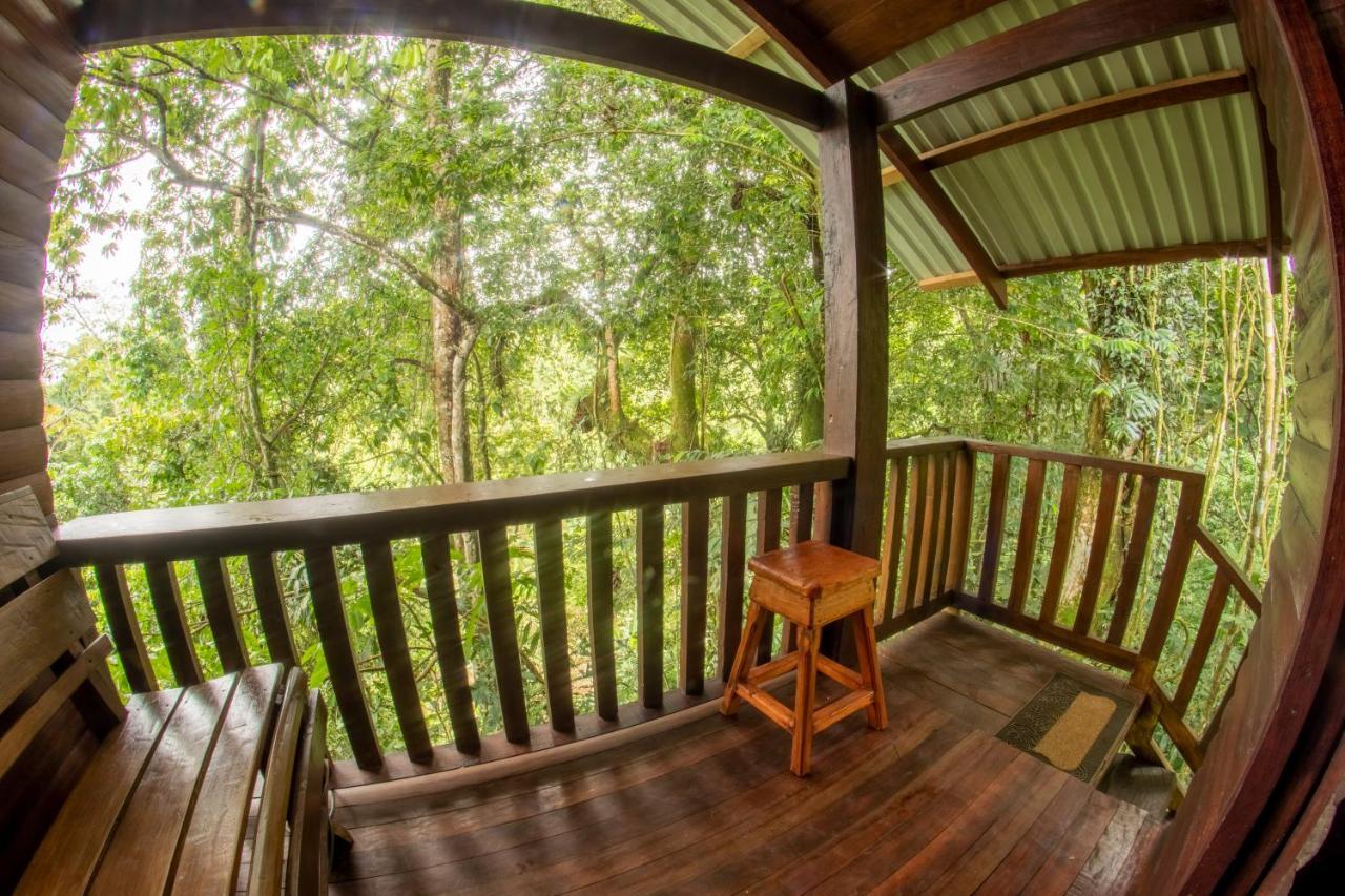 Arenal Rustic Lodge La Fortuna Kültér fotó