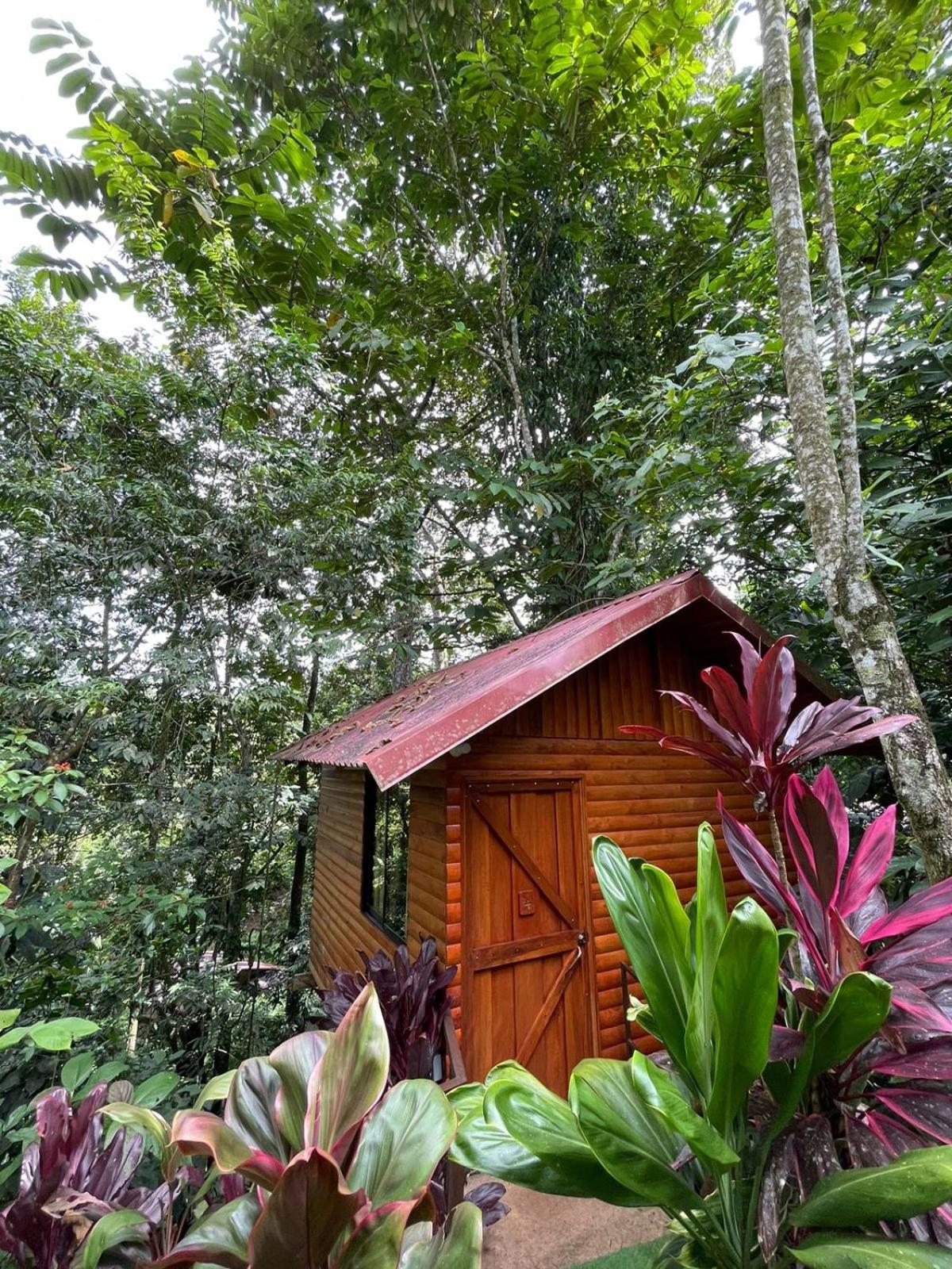 Arenal Rustic Lodge La Fortuna Kültér fotó