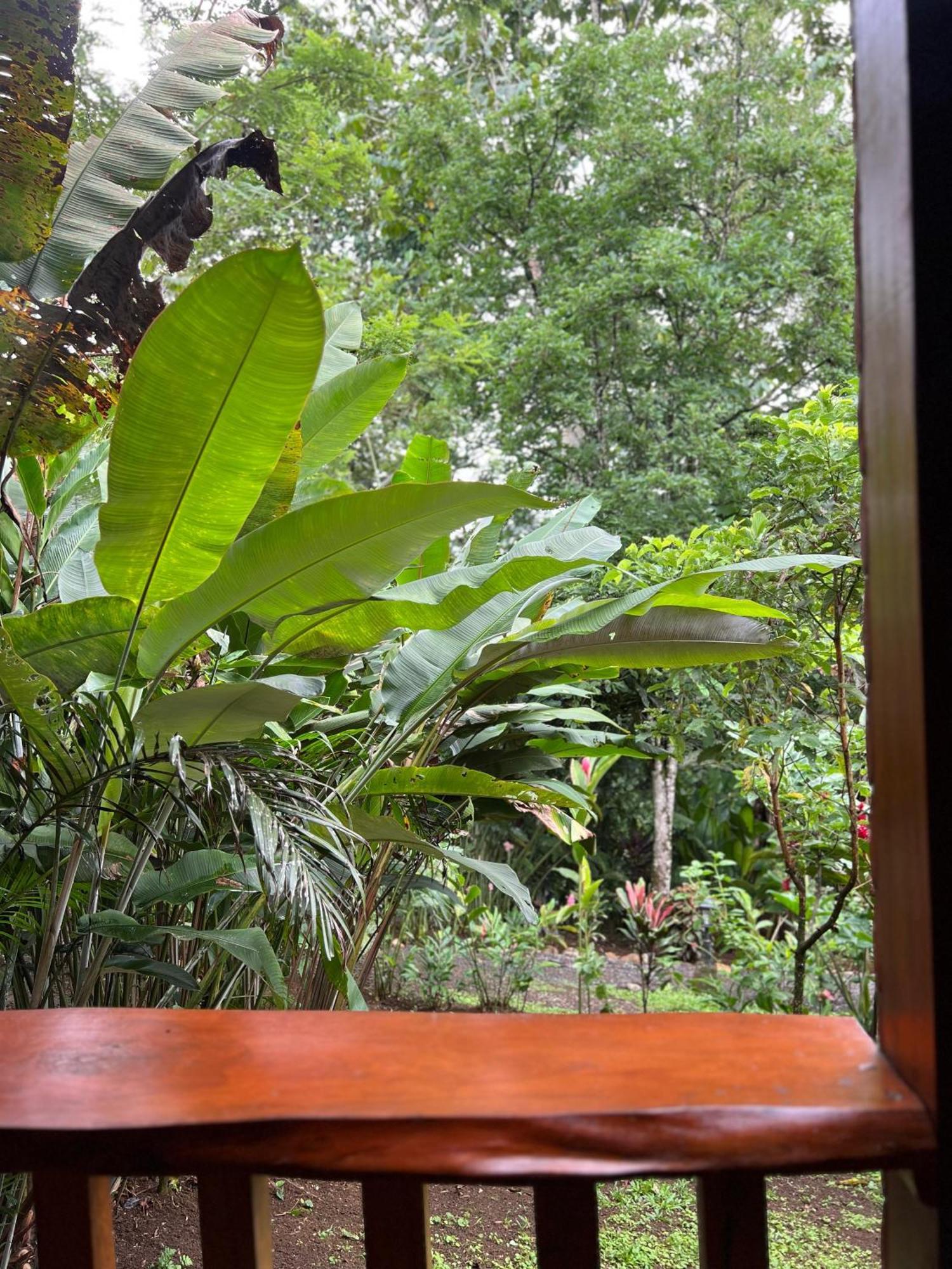Arenal Rustic Lodge La Fortuna Kültér fotó