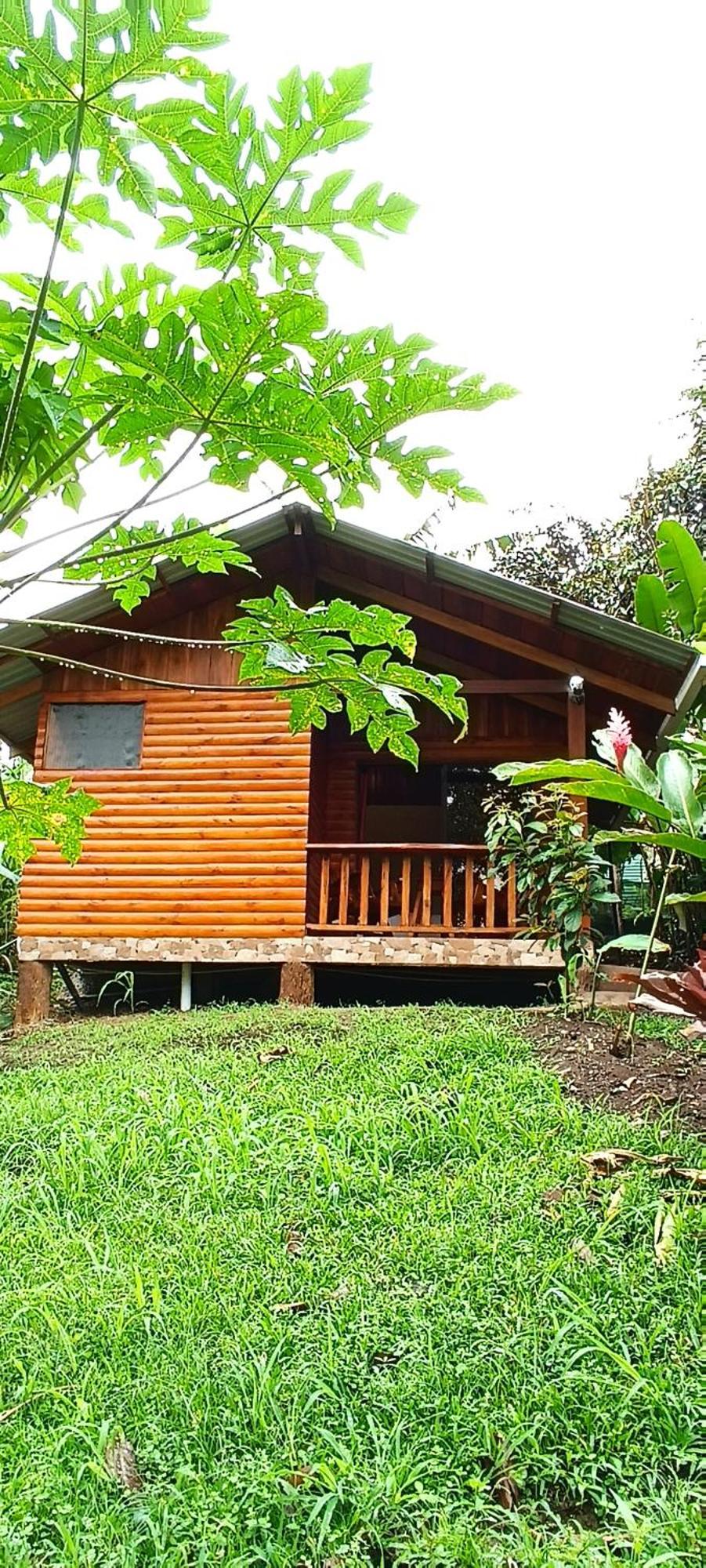 Arenal Rustic Lodge La Fortuna Kültér fotó