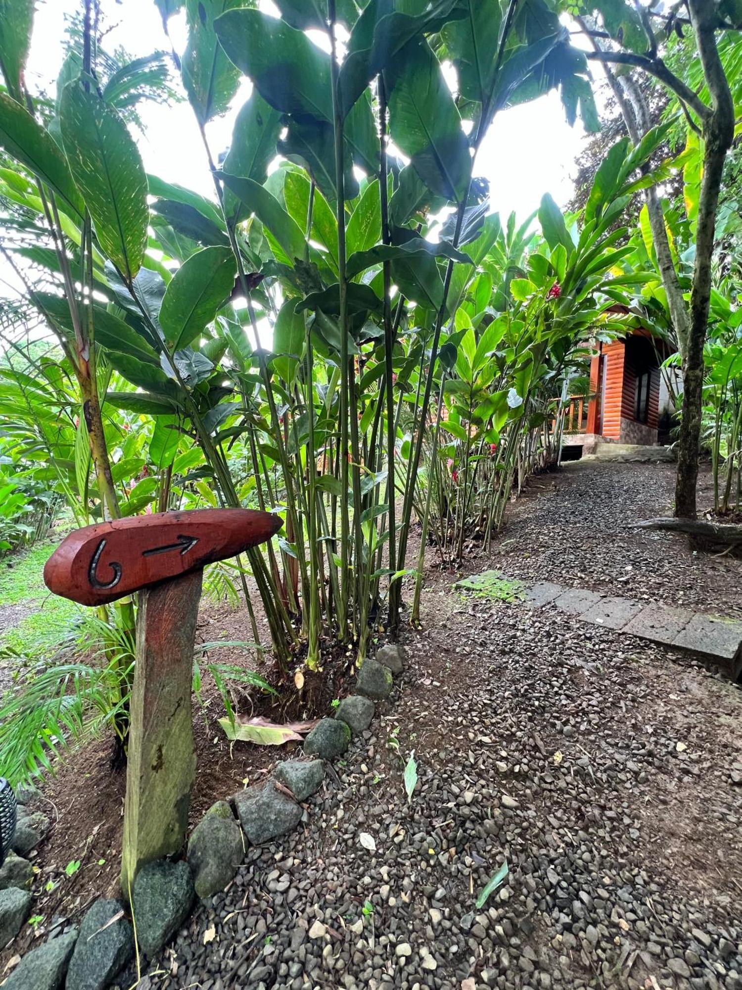 Arenal Rustic Lodge La Fortuna Kültér fotó